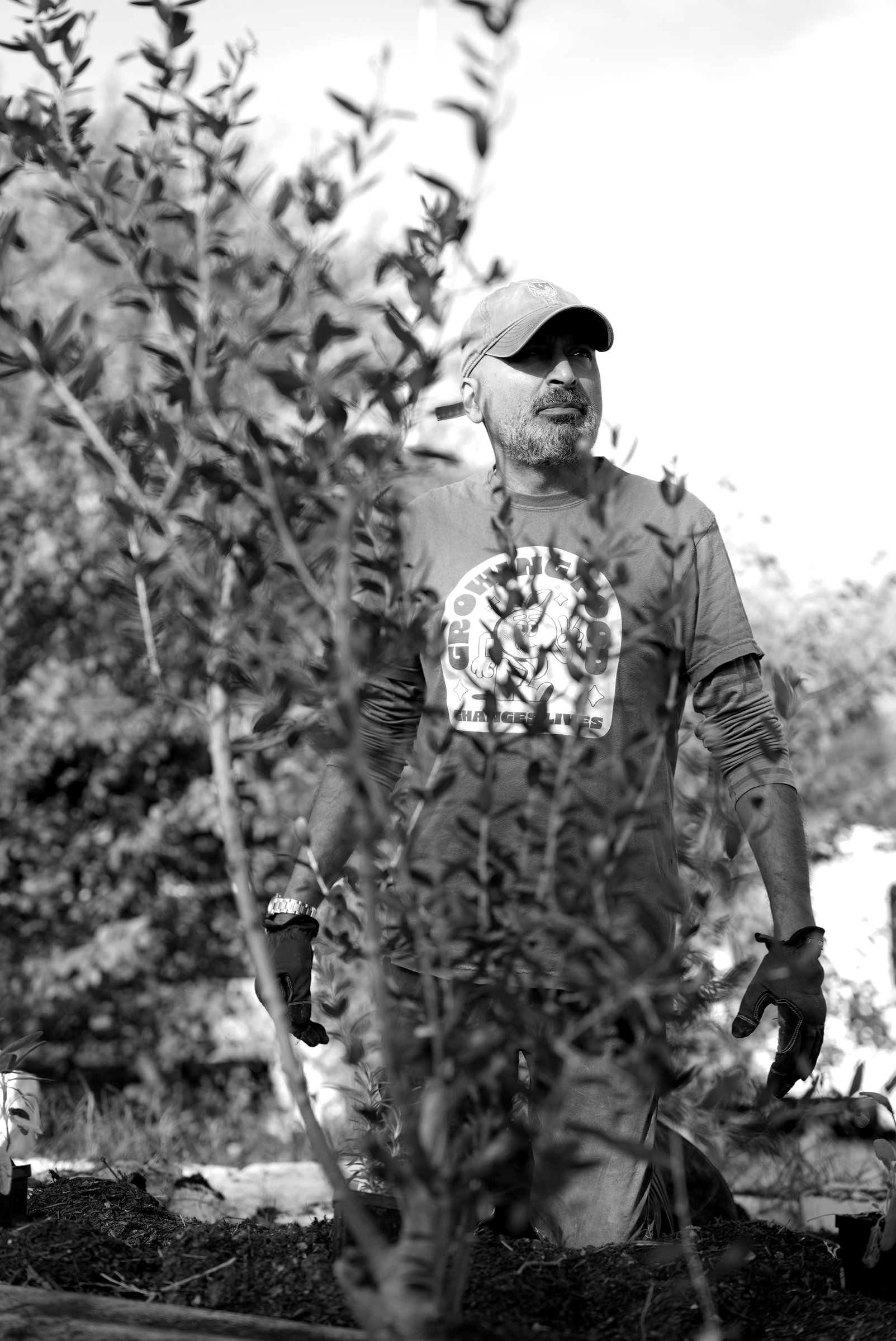 Aamar Khwaja among olive trees
